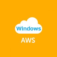 windowsonaws