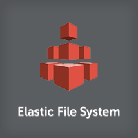 Elastic File System