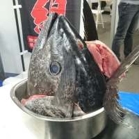 cm-2015-bounenkai_00