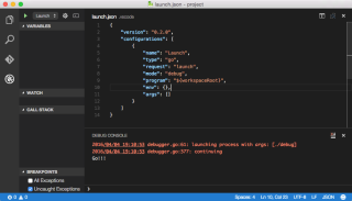 launch_json_-_project