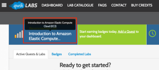 qwiklabs-getting-started_08