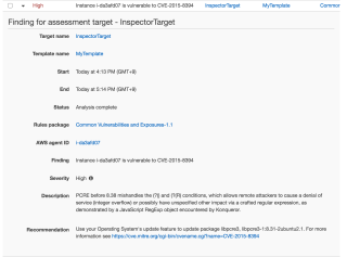 Amazon_Inspector 12