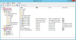 dns-manager