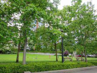 スポーツする人たち