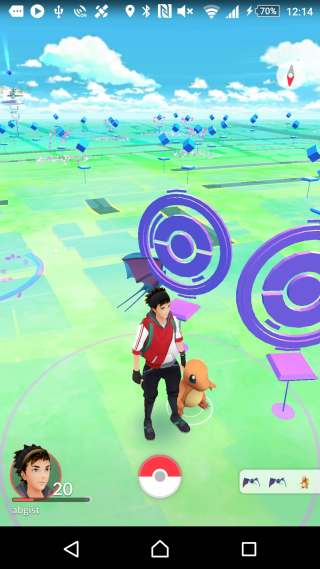 pokego-1-3