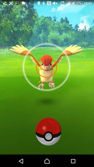 pokego-2-1