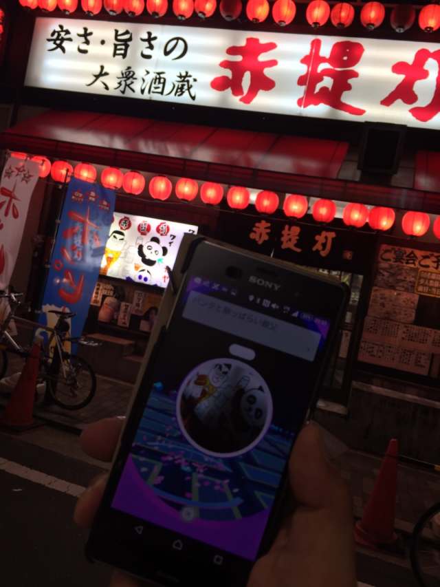 pokego-3-3