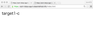 https___acm-tokyo_oguri_classmethod_info_index_html