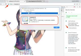 freesom-r53-29