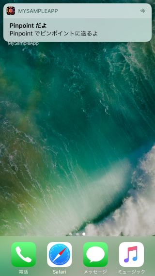 pinpoint_ios05