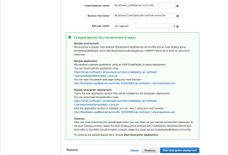 AWS_CodeDeploy_Management 5