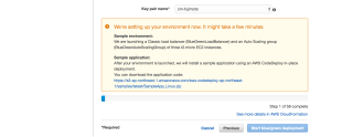AWS_CodeDeploy_Management_4