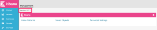 Kibana 2