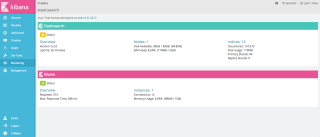 Monitoring_-_elasticsearch_-_Overview