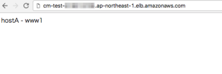 cm-test-819013708_ap-northeast-1_elb_amazonaws_com